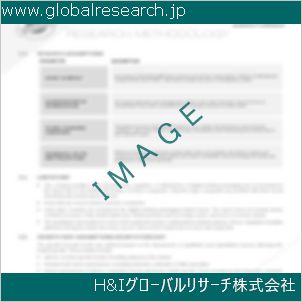 グローバルリサーチ調査資料のイメージ